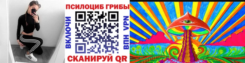 Псилоцибиновые грибы ЛСД  Купить закладки  Северодвинск 