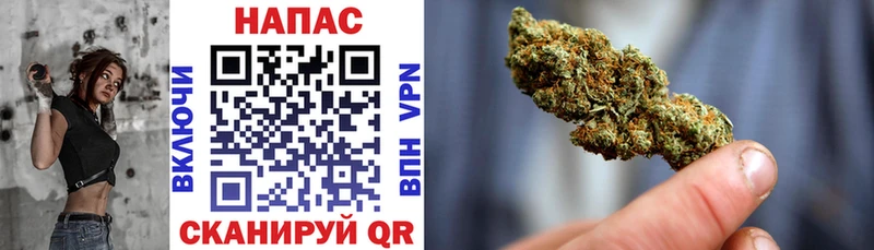 Конопля сатива Северодвинск